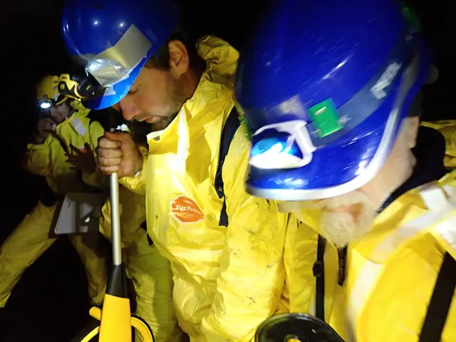 Hledáme nové kolegy/ně